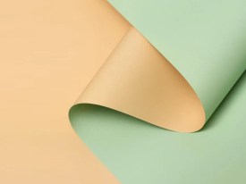 Papel coreano bicolor x 20 unidades